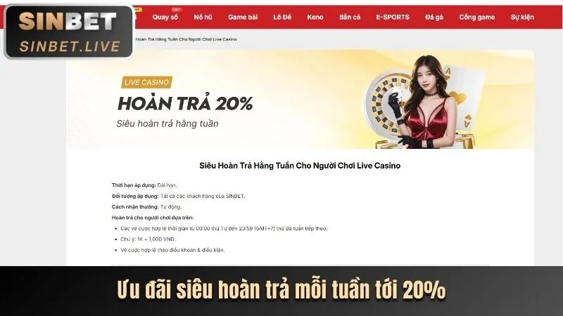 Chương trình VIP và phần thưởng độc quyền 8xbet